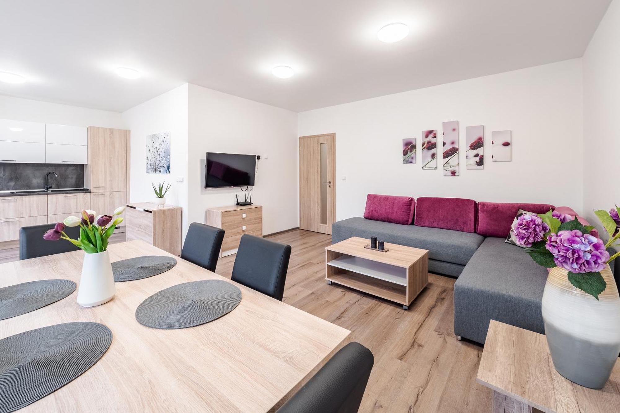 Private Luxury Apartments - Apartman G3 Frymburk Exteriér fotografie